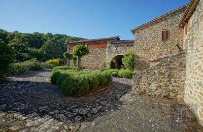 Finca en venta Città di Castello, Umbría, Imagen 17/49