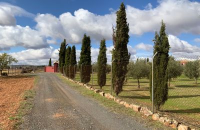 Casa de campo en venta Almagro, Almagro, Castilla-La Mancha, Acceso