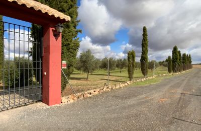 Casa de campo en venta Almagro, Almagro, Castilla-La Mancha, Acceso