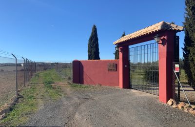 Casa de campo en venta Almagro, Almagro, Castilla-La Mancha, Entrada