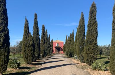 Casa de campo en venta Almagro, Almagro, Castilla-La Mancha, Entrada arbolada con cipreses