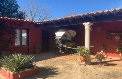 Casa de campo en venta Almagro, Almagro, Castilla-La Mancha, Patio y carruaje