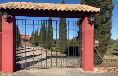 Casa de campo en venta Almagro, Almagro, Castilla-La Mancha, Entrada