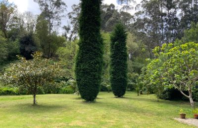 Casa de campo en venta Xove, Acevedo, Galicia, Jardín