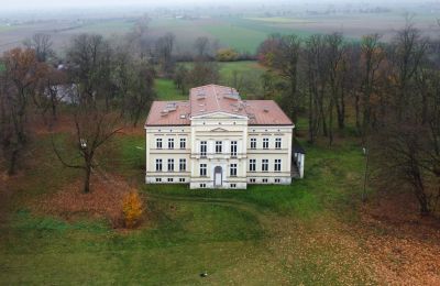 Palacio en venta Karszew, województwo wielkopolskie, Imagen 7/19