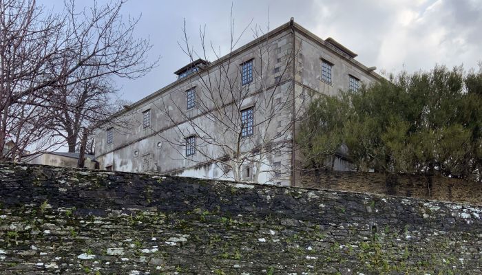 Palacio A Coruña 1