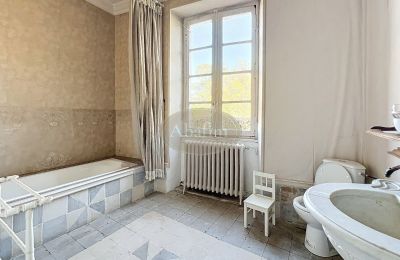 Palacio en venta 31000 Toulouse, Occitania, Cuarto de baño