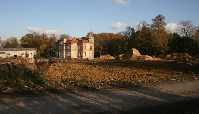 Casa señorial Pisarzowice 3