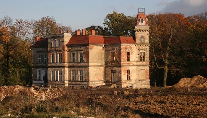 Casa señorial Pisarzowice 4