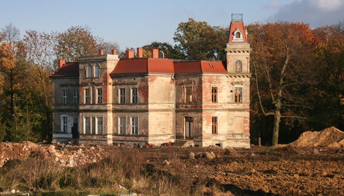 Casa señorial Pisarzowice 3