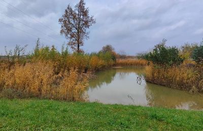 Casa señorial en venta Górki Małe, Voivodato de Łódź, Imagen 11/20