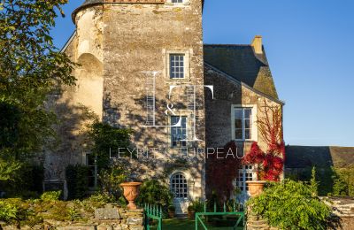 Casa señorial en venta Países del Loira, Vista exterior