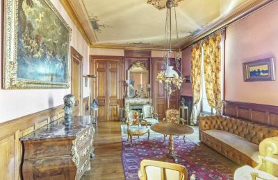 Villa histórica en venta Vernaison, Auvergne-Rhône-Alpes, Salón