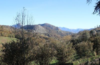 Casa señorial en venta Parres, Asturias, Vista