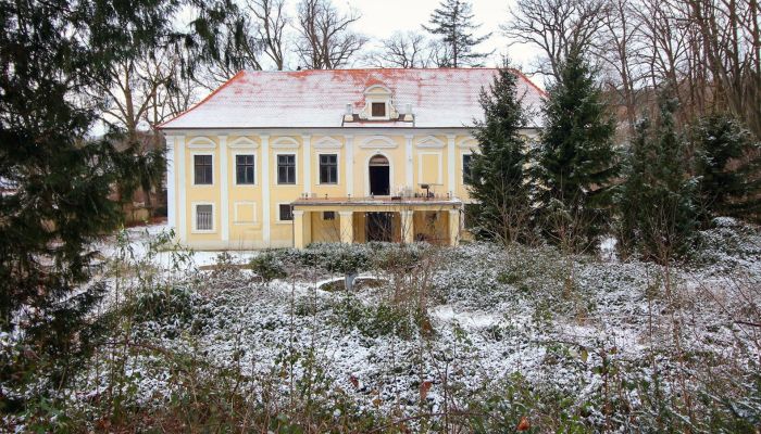 Palacio en venta Plzeňský kraj, okres Klatovy, Klatovy,  Chequia