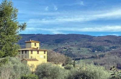 Villa histórica en venta Firenze, Toscana, Entorno de la propiedad
