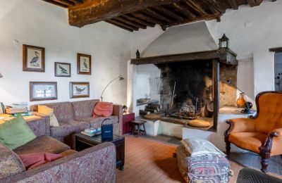 Casa de campo en venta Castellina in Chianti, Toscana, Chimenea