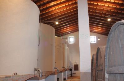 Casa señorial en venta Vila-rodona, Cataluña, Imagen 16/37