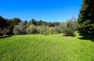 Casa de campo en venta Montecatini Val di Cecina, Toscana, Propiedad