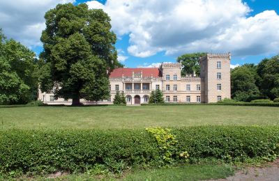 Palacio en venta Gościeszyn, Pałac w Gościeszynie, województwo wielkopolskie, Pałac w Gościeszynie