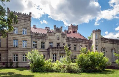 Palacio en venta Gościeszyn, Pałac w Gościeszynie, województwo wielkopolskie, Vista posterior