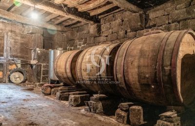 Casa señorial en venta Ourense, Galicia, Bodega