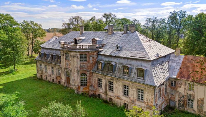 Palacio en venta Minkowskie, Voivodato de Opole,  Polonia