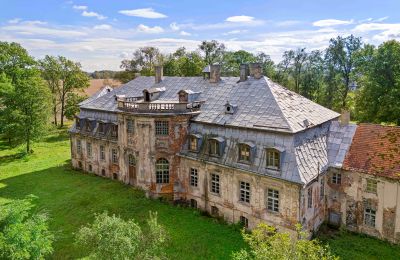 Palacio en venta Minkowskie, Voivodato de Opole