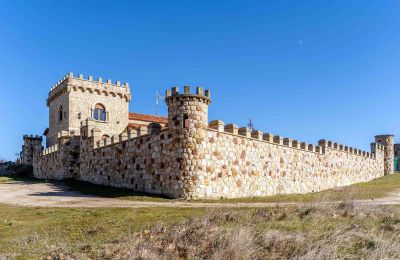 Propiedad histórica Castilla y León