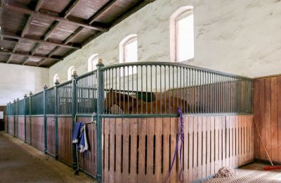 Propiedad histórica en venta Žagariškiai, Šiaulių apskritis, Boxes para caballos