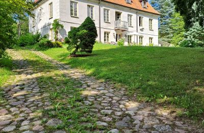 Casa señorial en venta Dawidy, Dwór w Dawidach, Voivodato de Varmia y Masuria, Vista posterior