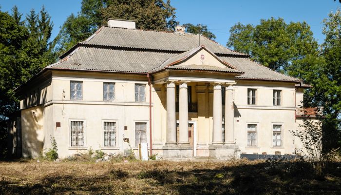 Palacio Puszcza Mariańska 2
