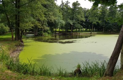 Casa señorial en venta Błaszki, Voivodato de Łódź, Teich/See