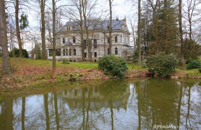 Villa histórica en venta Ústecký kraj, Jardín