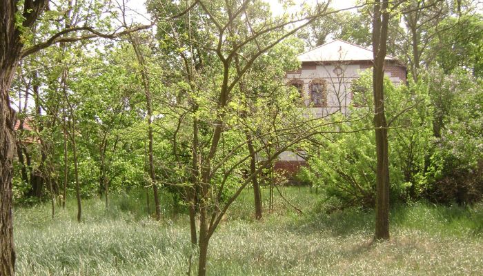 Finca Pleszew 5