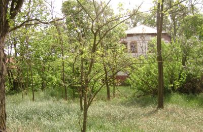 Finca en venta Pleszew, województwo wielkopolskie,, Imagen 5/5