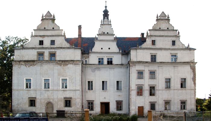 Palacio Wilków Wielki 1