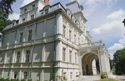 Palacio en venta Malina, Pałac Malina, Voivodato de Łódź, Vista lateral