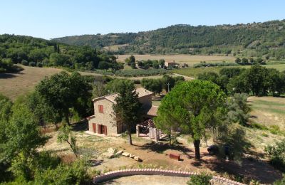 Finca en venta Montescudaio, Toscana, RIF 2185 Blick auf Anwesen