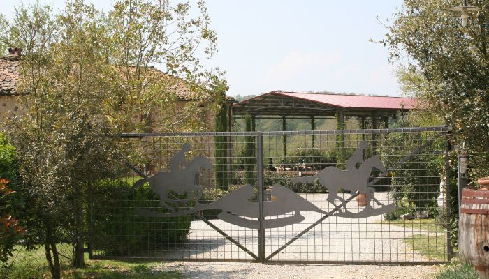 Finca Arezzo 2