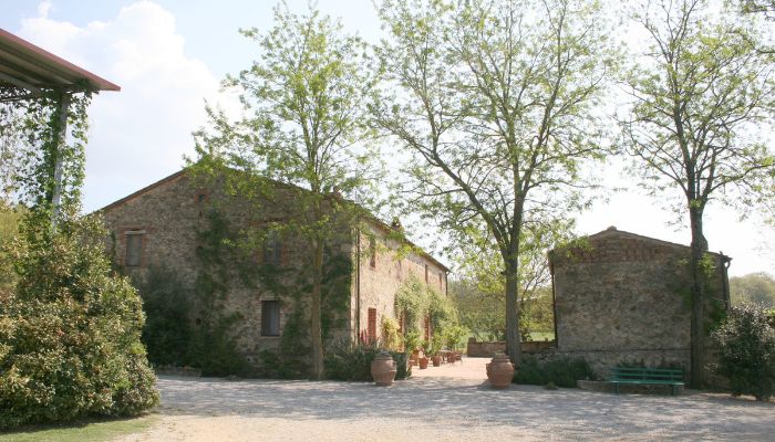 Finca Arezzo 4