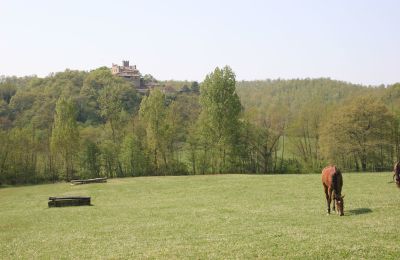 Finca en venta Arezzo, Toscana, RIF2262-lang22#RIF 2262 Pferdekoppeln mit Ausblick